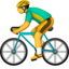 :bicyclist: