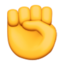 fist