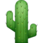 :cactus: