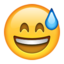 sweat_smile
